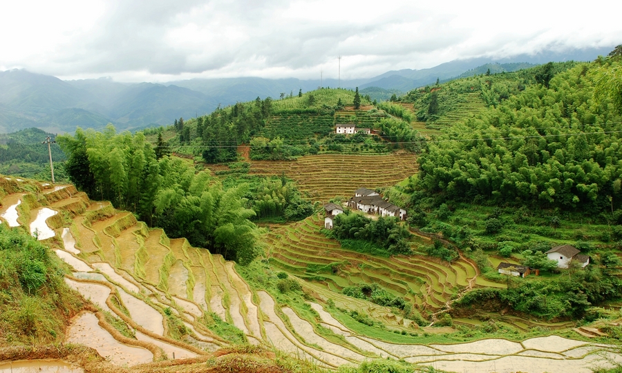 崇義縣上堡梯田餐飲服務中心建設項目 崇義縣上堡梯田餐飲服務中心建設項目
